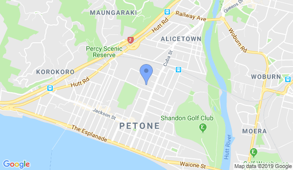 The Kung Fu School Petone location Map